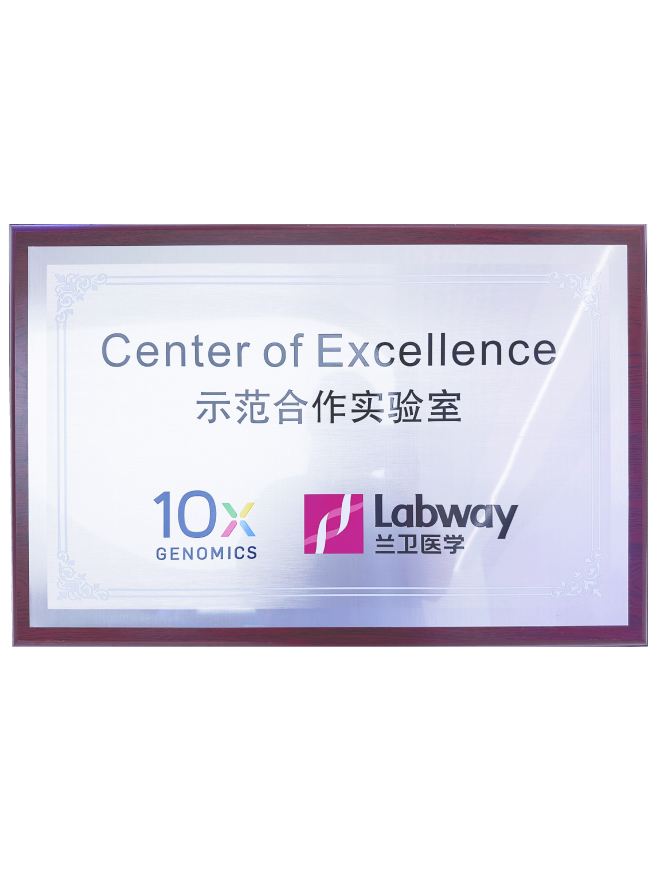 03 鼎点娱乐与10X示范合作实验室.png